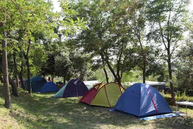 zobacz camping - zdjęcie 13