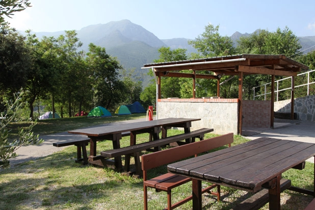 zobacz camping - zdjęcie 11