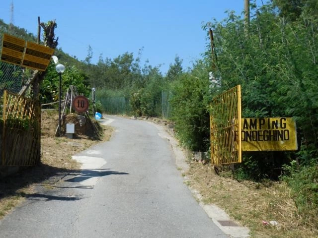 zobacz camping - zdjęcie 6