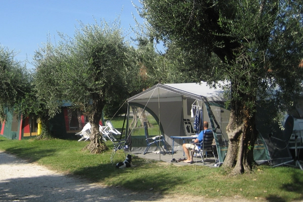 zobacz camping - zdjęcie 12