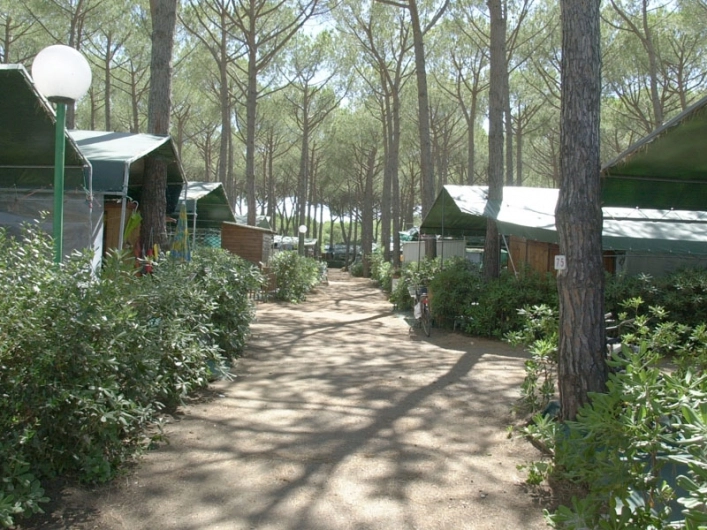 zobacz camping - zdjęcie 21