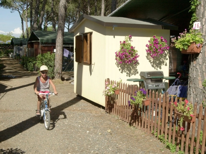 zobacz camping - zdjęcie 20