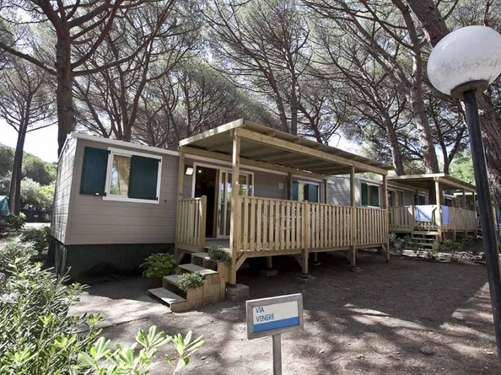 zobacz camping - zdjęcie 16