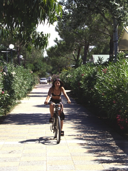 zobacz camping - zdjęcie 11