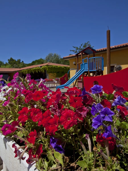 zobacz camping - zdjęcie 2