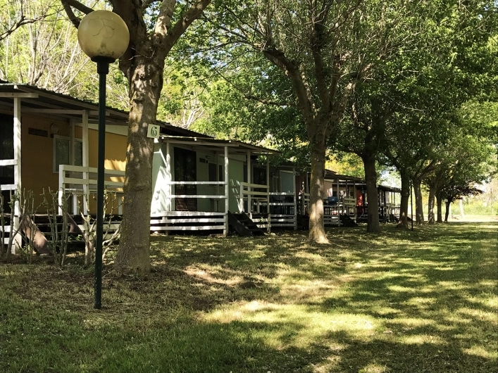 zobacz camping - zdjęcie 19