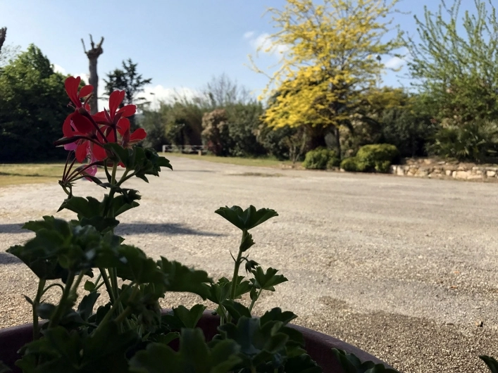 zobacz camping - zdjęcie 18