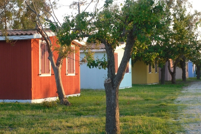 zobacz camping - zdjęcie 16