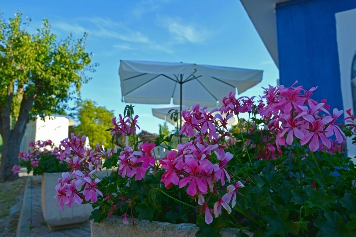 zobacz camping - zdjęcie 13