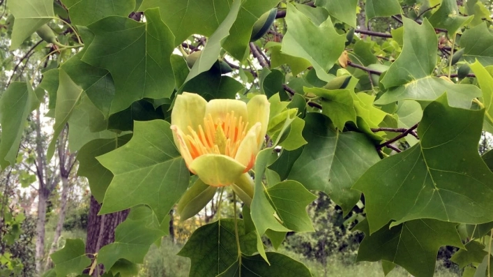 Campeggio Garden River - zdjęcie 3