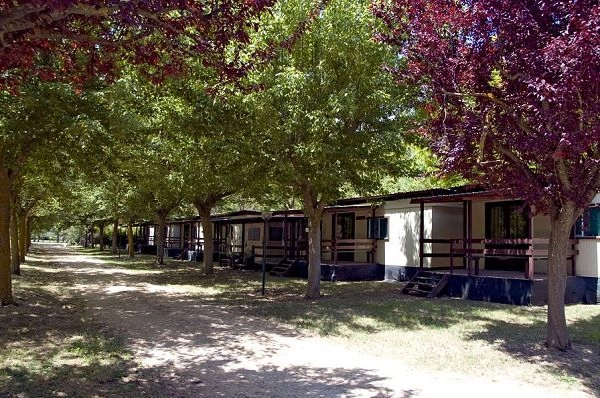 zobacz camping - zdjęcie 2