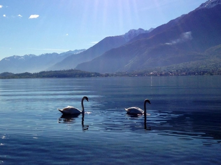 zobacz camping - zdjęcie 22