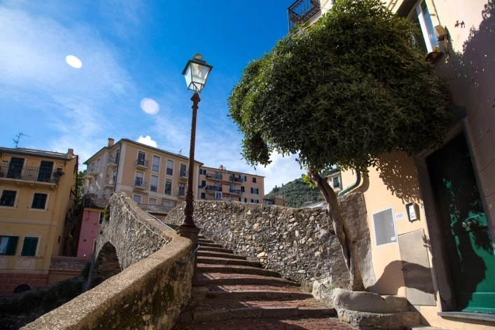 zobacz camping - zdjęcie 57