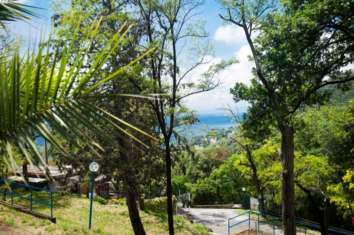 zobacz camping - zdjęcie 33