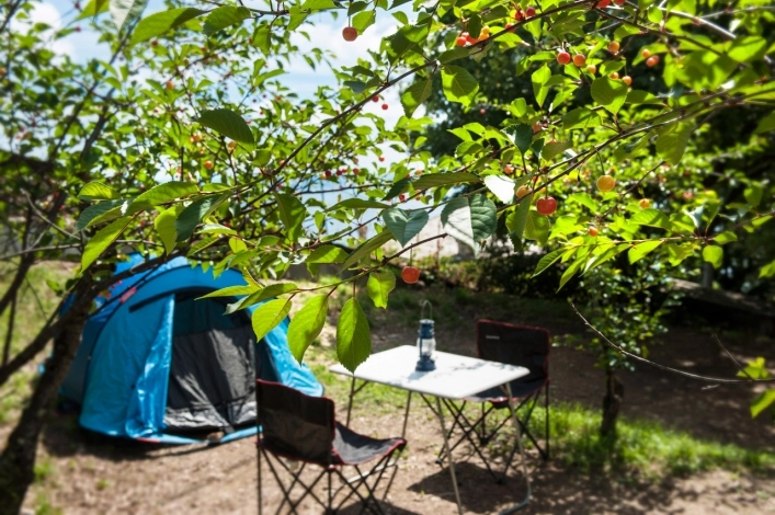 zobacz camping - zdjęcie 16