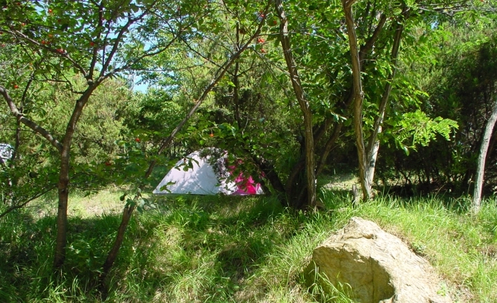 Campeggio Genova Est - zdjęcie 2