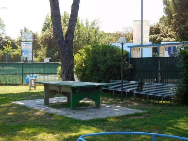 zobacz camping - zdjęcie 11