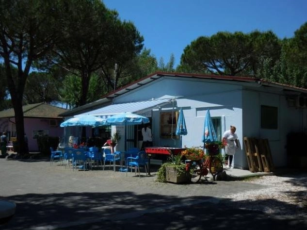 zobacz camping - zdjęcie 9