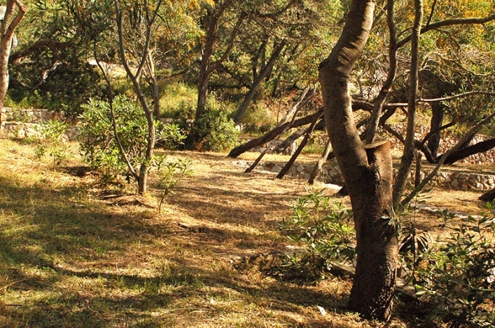 zobacz camping - zdjęcie 23