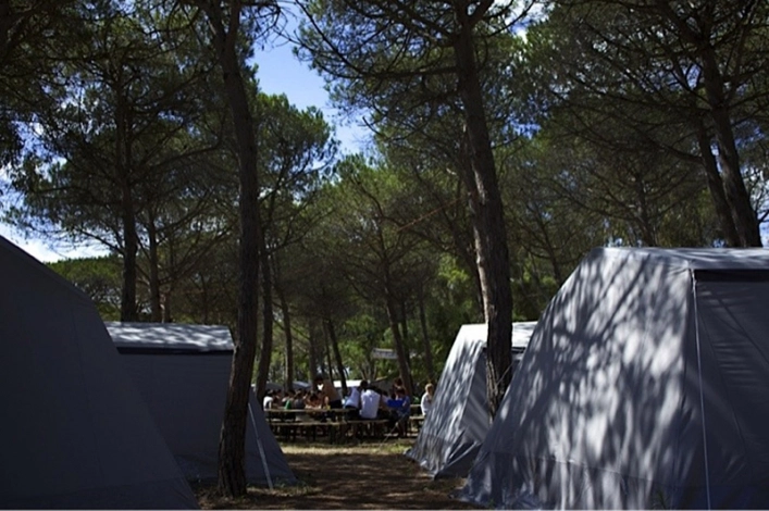 zobacz camping - zdjęcie 20