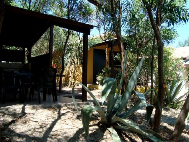 zobacz camping - zdjęcie 15