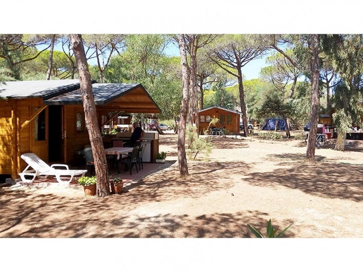 zobacz camping - zdjęcie 10