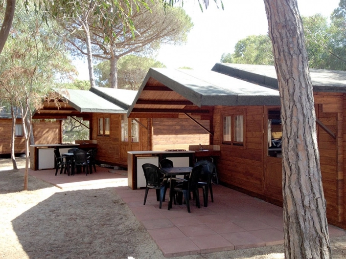 zobacz camping - zdjęcie 9