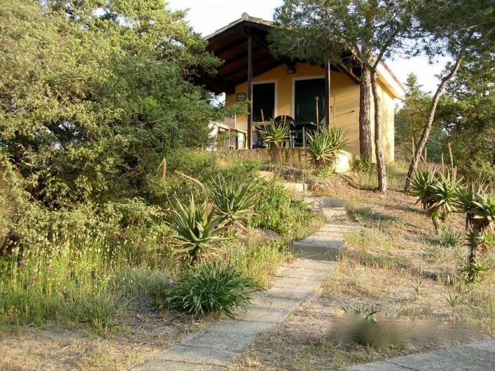 zobacz camping - zdjęcie 5