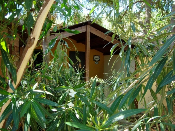 zobacz camping - zdjęcie 4