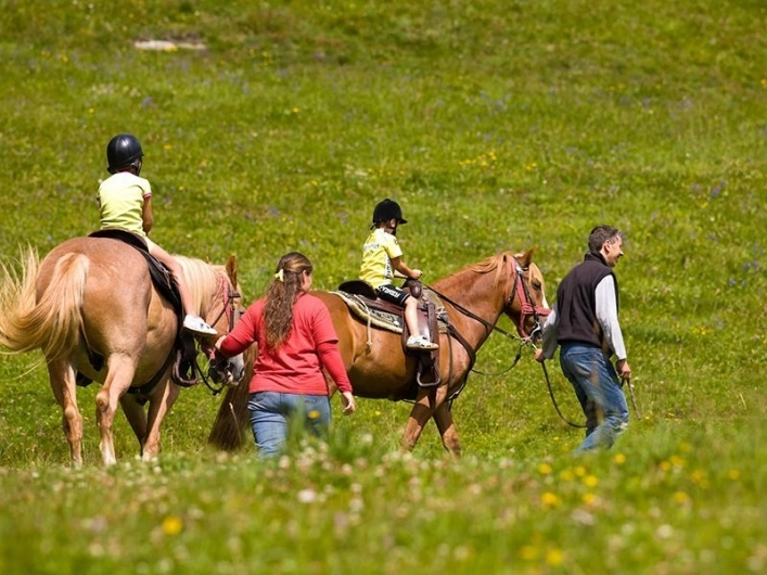 zobacz camping - zdjęcie 12