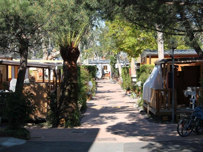 zobacz camping - zdjęcie 5