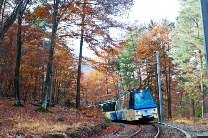 zobacz camping - zdjęcie 11