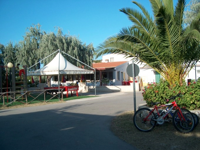 zobacz camping - zdjęcie 30