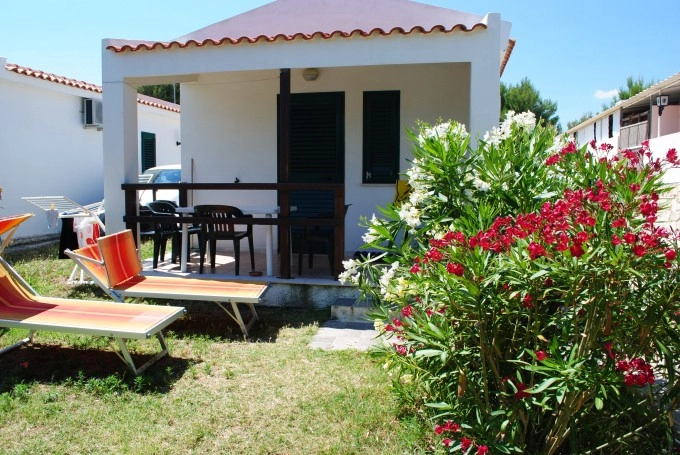 zobacz camping - zdjęcie 29