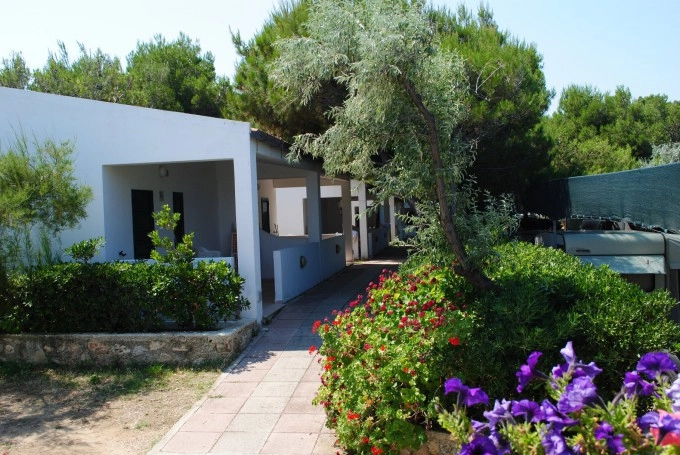 zobacz camping - zdjęcie 25