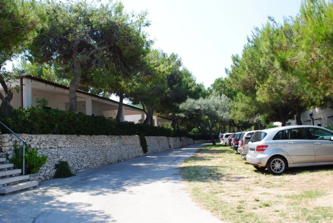 zobacz camping - zdjęcie 24