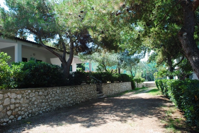 zobacz camping - zdjęcie 23