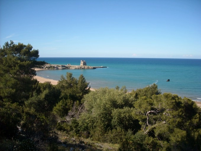 zobacz camping - zdjęcie 21