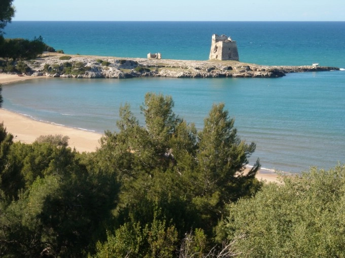 zobacz camping - zdjęcie 20