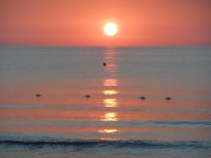 zobacz camping - zdjęcie 18