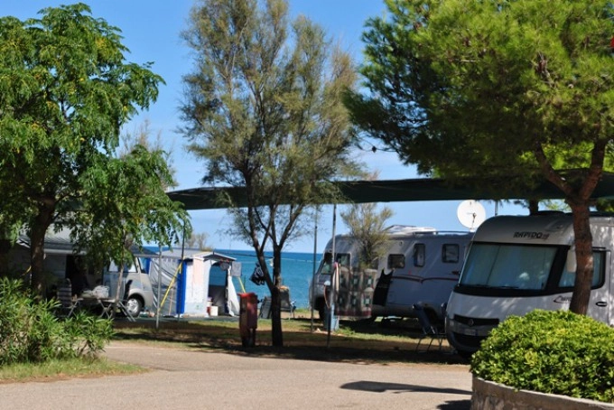 zobacz camping - zdjęcie 14