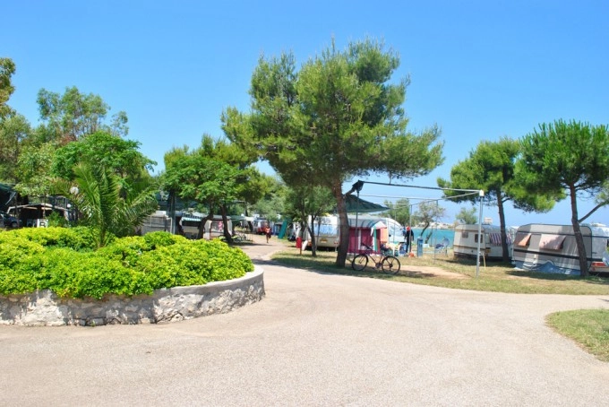 zobacz camping - zdjęcie 10