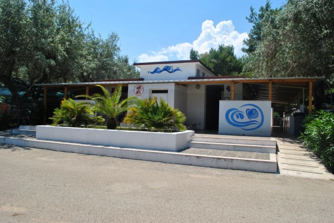 zobacz camping - zdjęcie 9