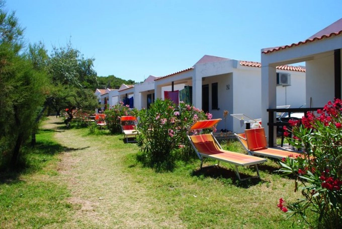 zobacz camping - zdjęcie 2