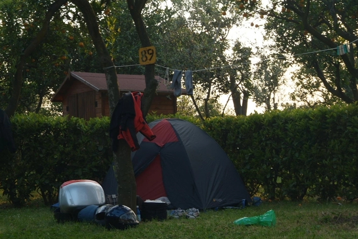 Campeggio I Pini International - zdjęcie 2