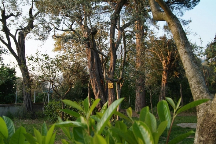 zobacz camping - zdjęcie 1