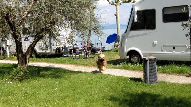 zobacz camping - zdjęcie 25