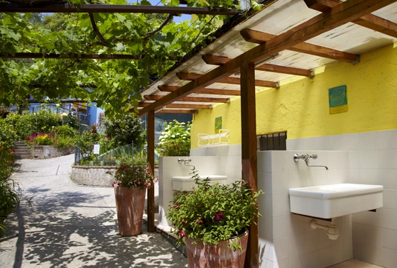 zobacz camping - zdjęcie 19