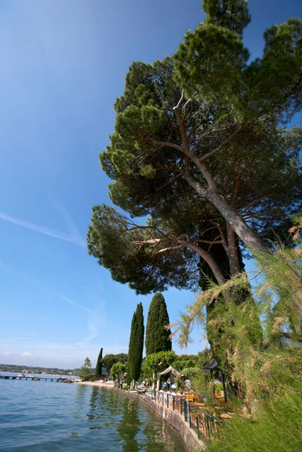 zobacz camping - zdjęcie 11