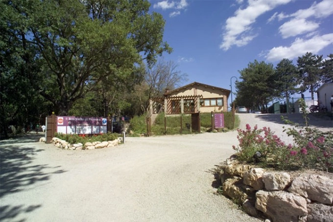 zobacz camping - zdjęcie 26